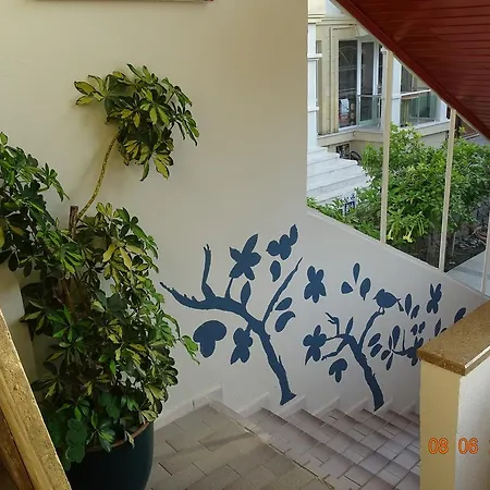 Bed and Breakfast Berk Φετιγιέ