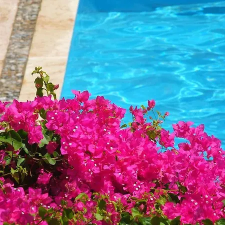 Bed & Breakfast Berk Fethiye